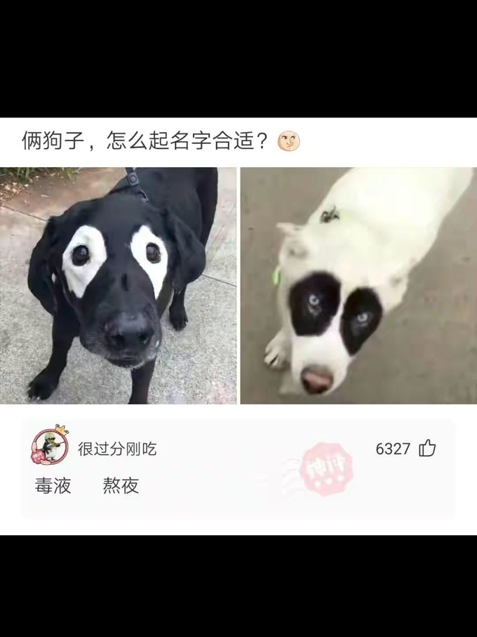 婴儿尿裤