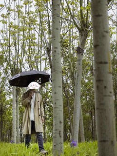 全自动开合的晴雨伞，方便又好用！