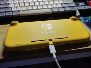 Nintendo switch lite