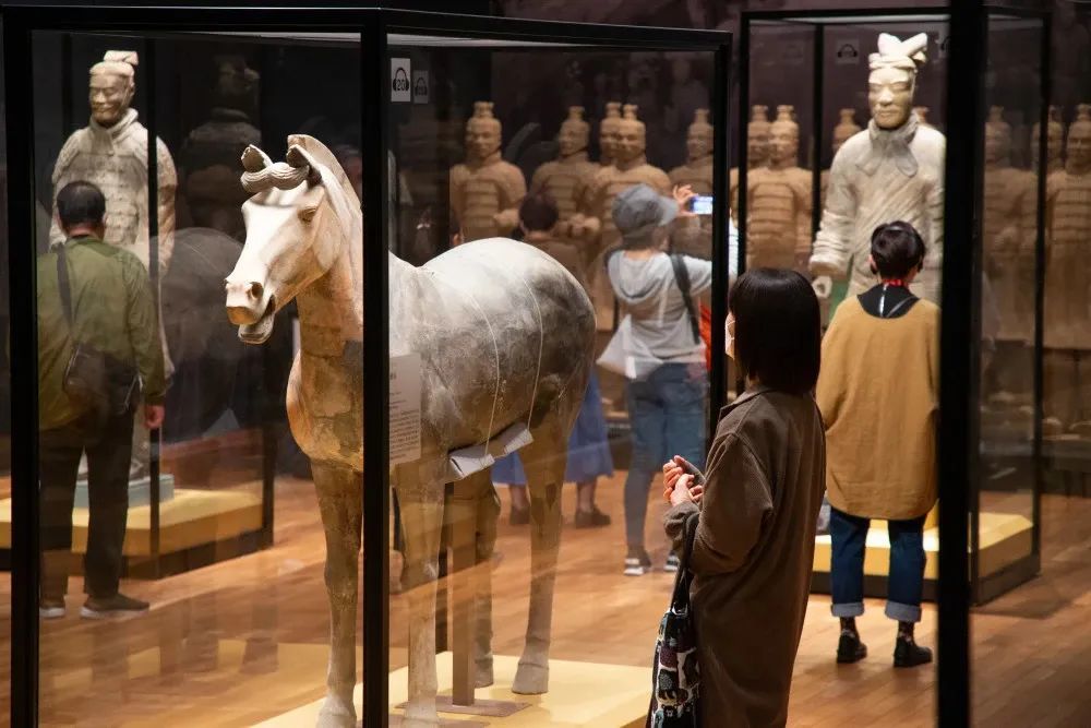 史无前例！最高级别兵马俑赴日展出，近200件珍稀文物再现“秦汉文明”高光时刻