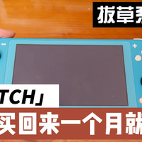 SWITCH LITE刚用一个月按键就翻车 太难了