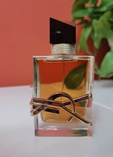 新品的圣罗兰的经典香水你试过吗？