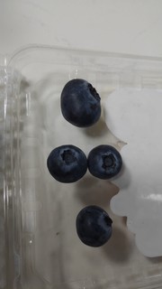 最近非常火的一款蓝莓