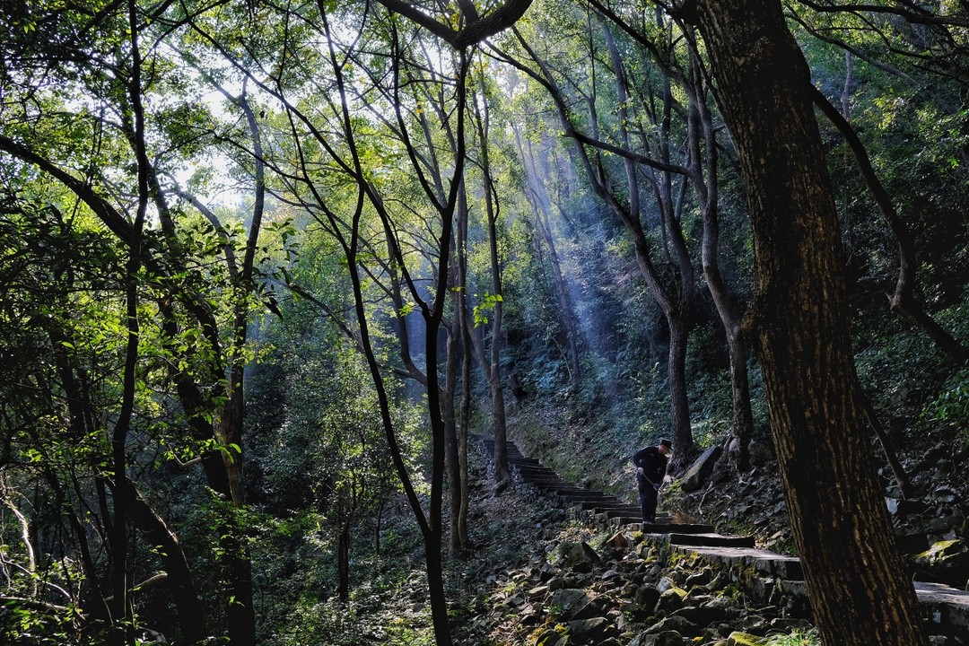 江浙沪冷门秘境，部分景点还免费！《向往的生活》取景地向你发出一份“避世”邀请！