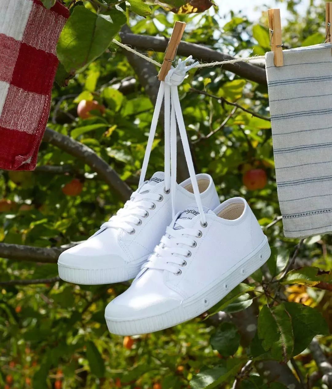 便宜真有好货！这几个品牌的帆布鞋性价比贼高（不脱胶、不臭脚）