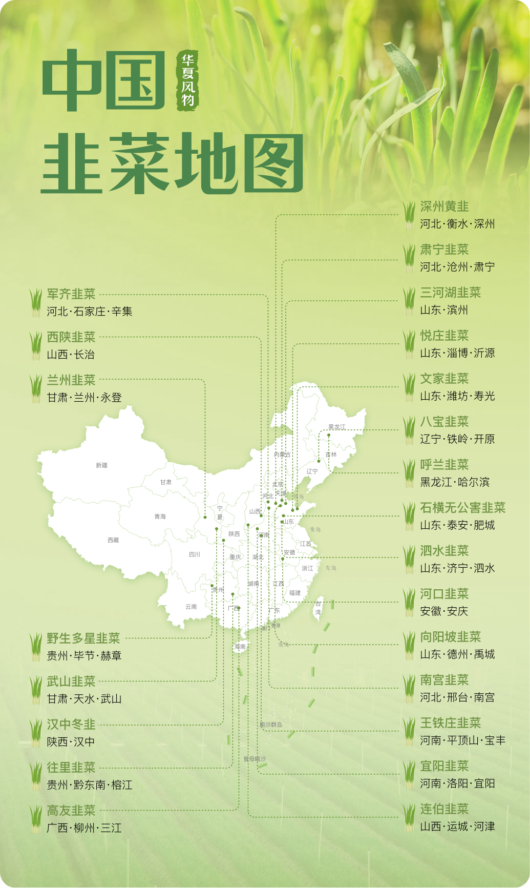 中国韭菜地图 ©华夏风物