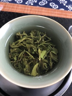 寿宁高山绿茶，真正的口粮茶！