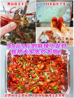 99元5斤的麻辣小龙虾我帮你们先吃为敬！