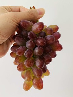 25一斤的茉莉香葡萄竟然比提子好吃😋