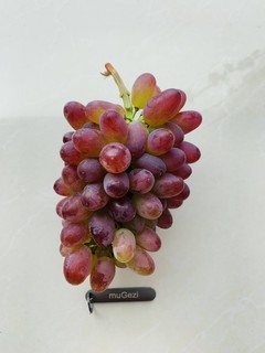 25一斤的茉莉香葡萄竟然比提子好吃😋