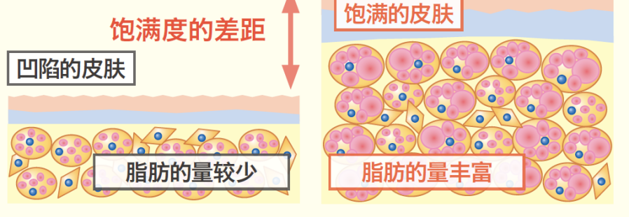 超能打的面霜，还得看它呀！