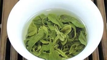 国内哪些绿茶最值得一品？这4种茶崭露头角，你家乡的茶叶上榜了吗