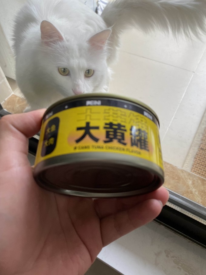 猫咪湿粮/罐头