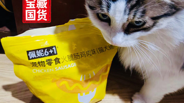 有了佩妮火腿肠 我愿意做刘耕宏猫猫