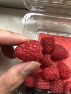 毛茸茸的树莓，挺新奇的味道
