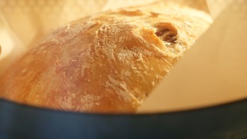 努力让面包更好吃——超简单的天然酵母养成记