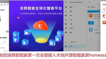 品类齐全的涂鸦智能家居设备一次全部接入homeassistant教程
