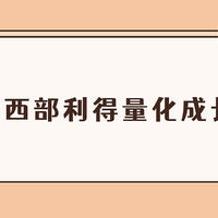 基金 篇二百九十：西部利得量化成长混合基金值不值得买？今年跌了31%！盛丰衍依然乐观