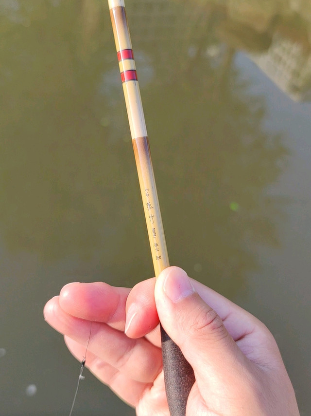 过生日那天老婆送我的新鱼竿，孤竹mini