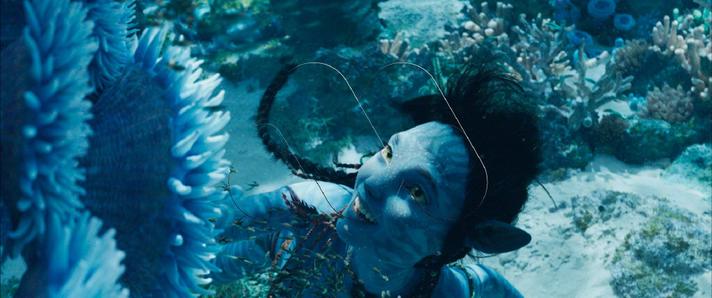《阿凡达2：水之道》首支先导预告泄露，北美年底上映