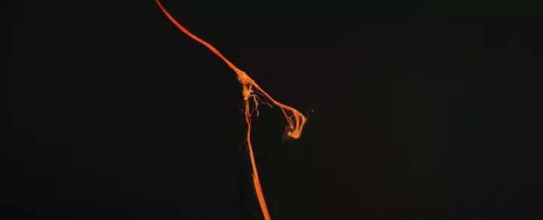 测评了市面上最火的 10 款牙线，看完你就知道怎么样选购了！