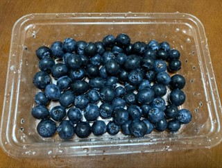 现摘高山鲜蓝莓 