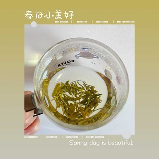 好茶源自好产区--云岭永川秀芽茶叶品茗！