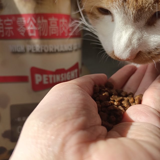 猫粮和冻干，到底爱哪个？