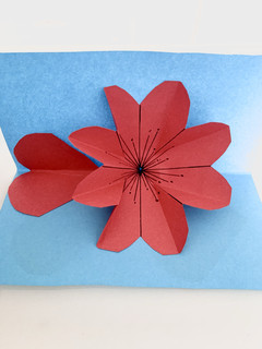 一个小小折纸，蕴含着小盆友对母亲节的献礼
