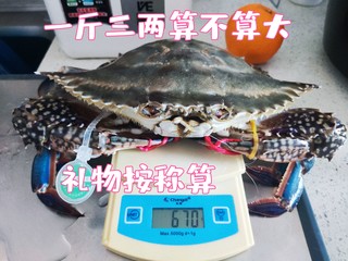 天津朋友送的一斤三两的梭子蟹算大么