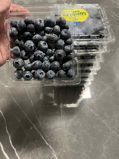 老婆送一大箱蓝莓终于实现了蓝莓自由！