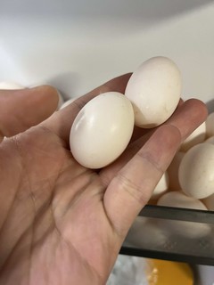 给家里怀孕的老婆购买了100颗精品鸽子蛋
