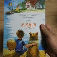 孩子点名要看的《灵犬莱西》