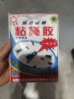 粘蝇子胶