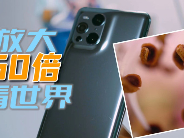 换个角度看世界 OPPO Find X3Pro显微镜体验