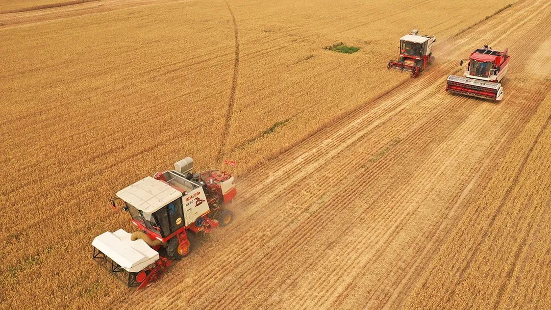 正在收割小麦的河南许昌农田 ©图虫创意
