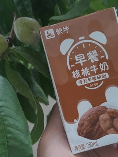 专为早餐研制——蒙牛核桃奶，乳糖不耐可喝