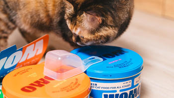 让猫咪爱上吃饭的无肉粉的纯肉猫粮——WOMO全价风干猫粮