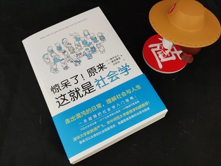 送给大孩子的礼物，社会学也可以这么有趣