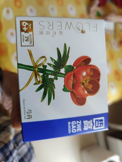 漂亮红芍药积木花