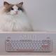 520送一把可爱猫咪键盘——iQunix M80