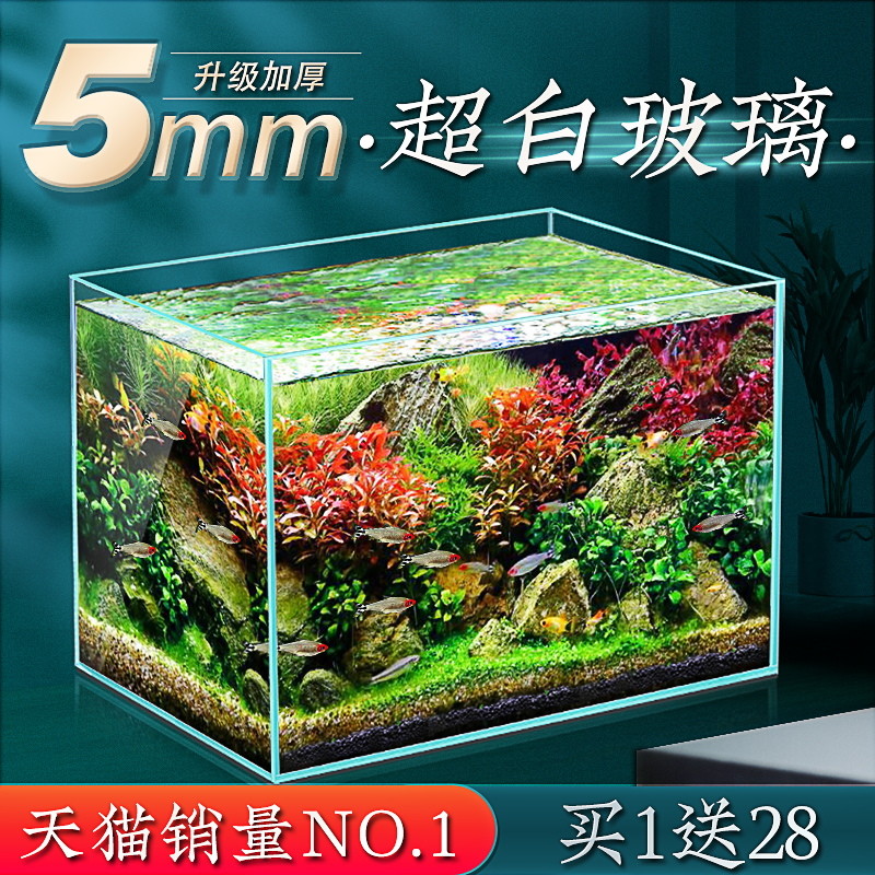 我的水族经验谈，带你走入色彩斑斓的斗鱼世界