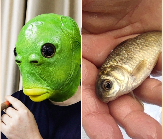 我钓上了鱼头人!有图有视频有真相!_什么值得买