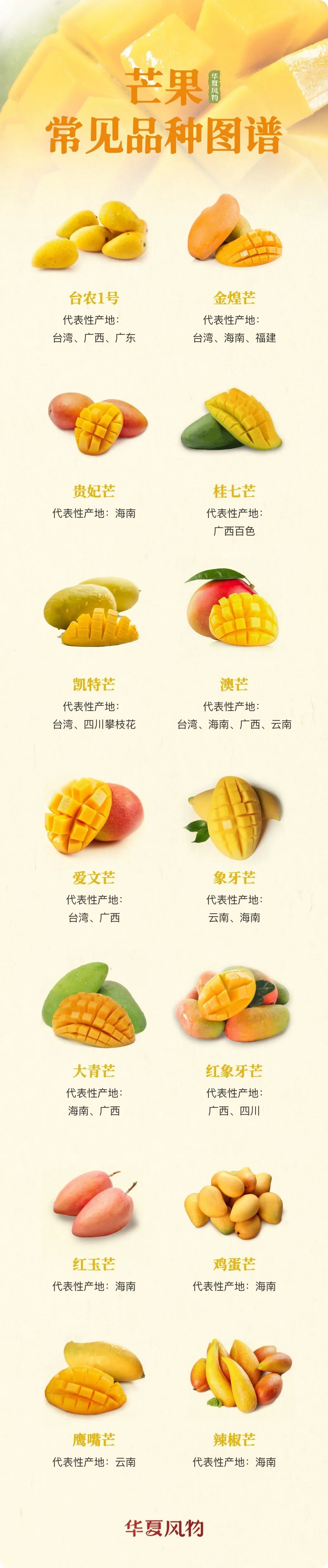 芒果常见品种图鉴 ©华夏风物