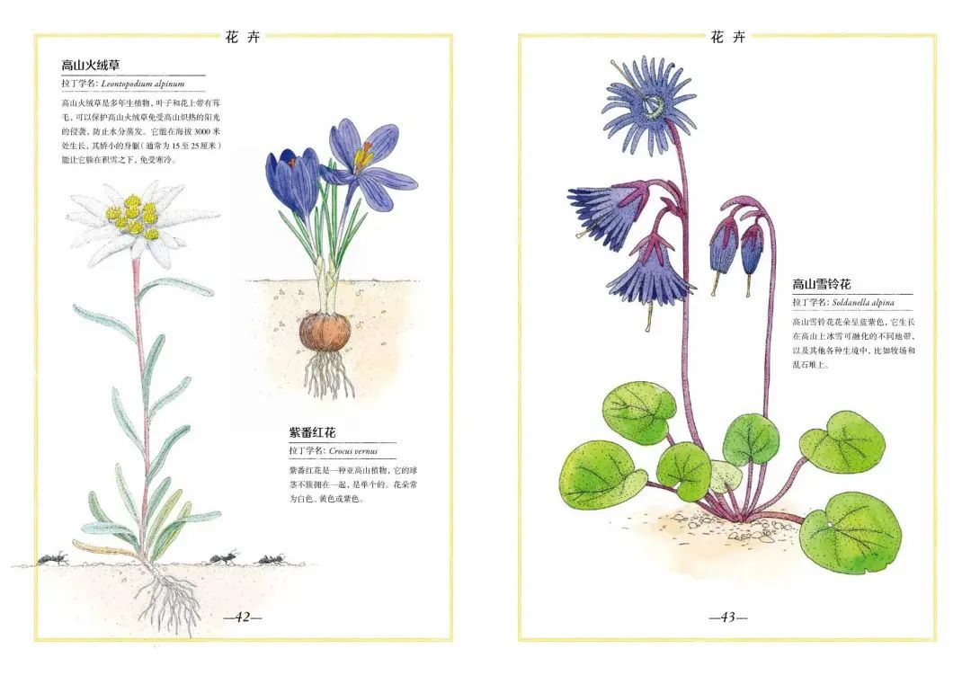 无法远行的日子，这10套博物之书告诉孩子世界的广袤！