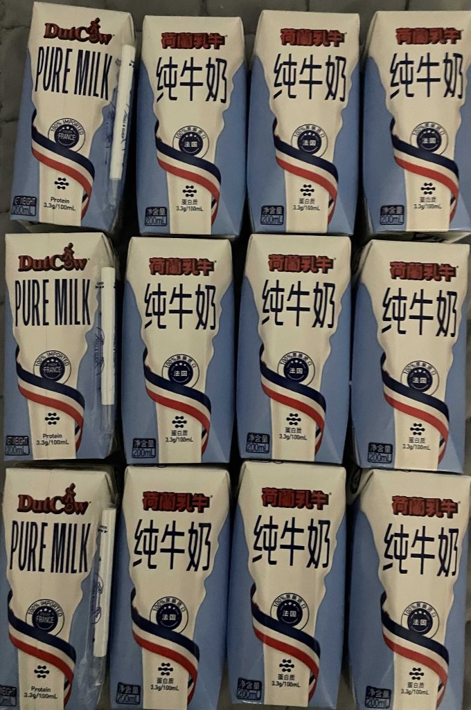 节日收到的礼物:荷兰乳牛全脂纯牛奶