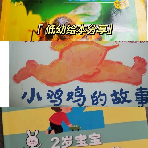 低幼科普游戏类儿童绘本推荐