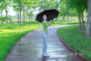 自动折叠伞，便携随行，下雨不愁。