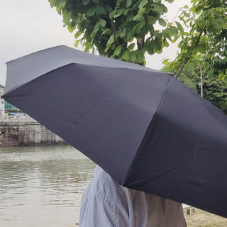 今天520，天又下雨了，于是我带了这把伞