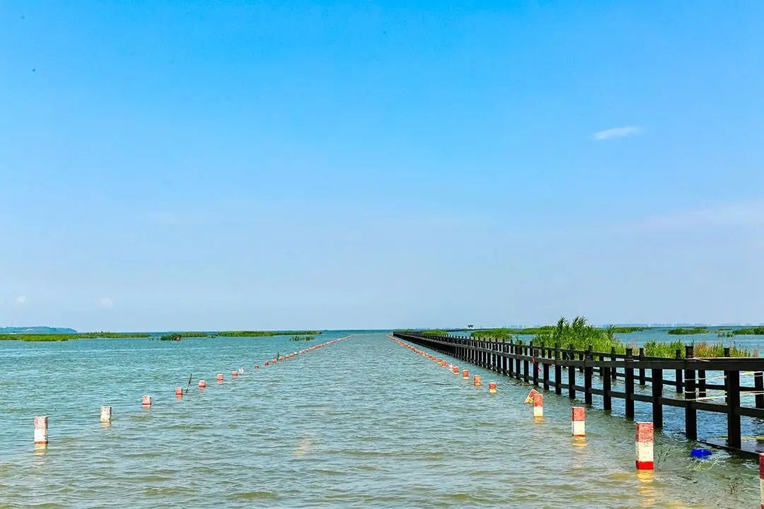 永吴公路每年鄱阳湖汛期时水漫公路的梦幻景观 ©图虫创意